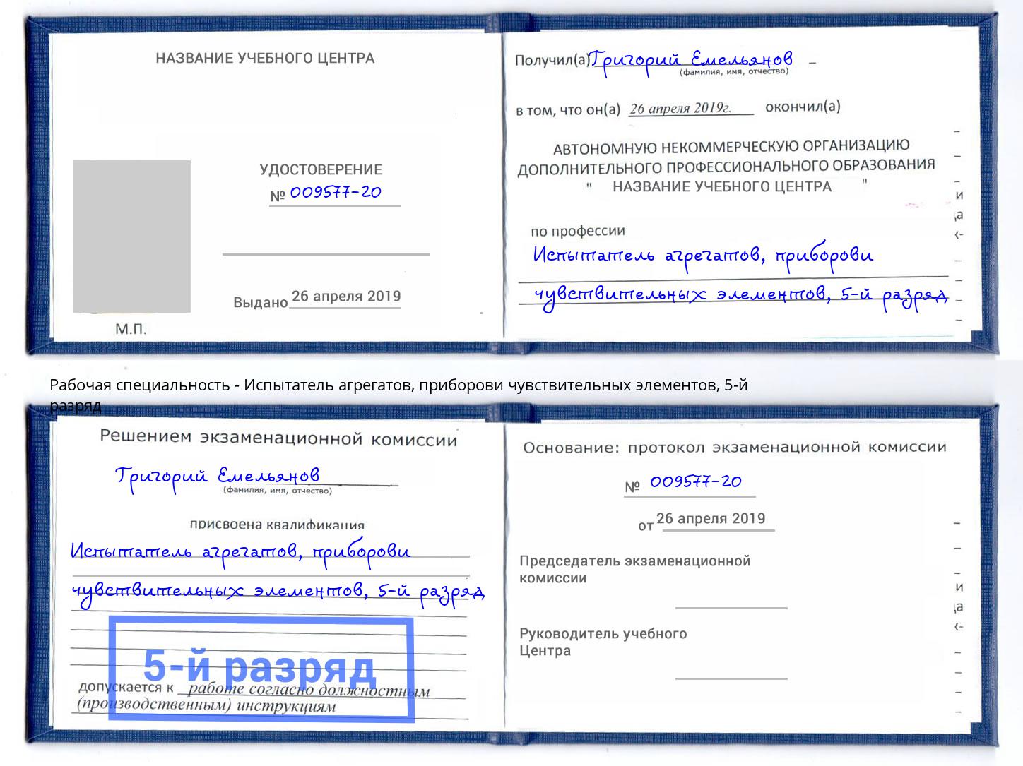 корочка 5-й разряд Испытатель агрегатов, приборови чувствительных элементов Дагестанские Огни