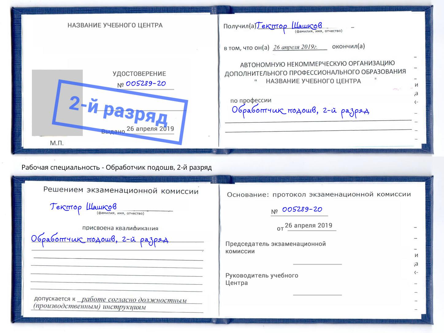 корочка 2-й разряд Обработчик подошв Дагестанские Огни
