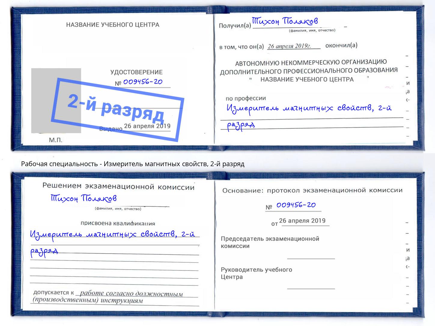 корочка 2-й разряд Измеритель магнитных свойств Дагестанские Огни