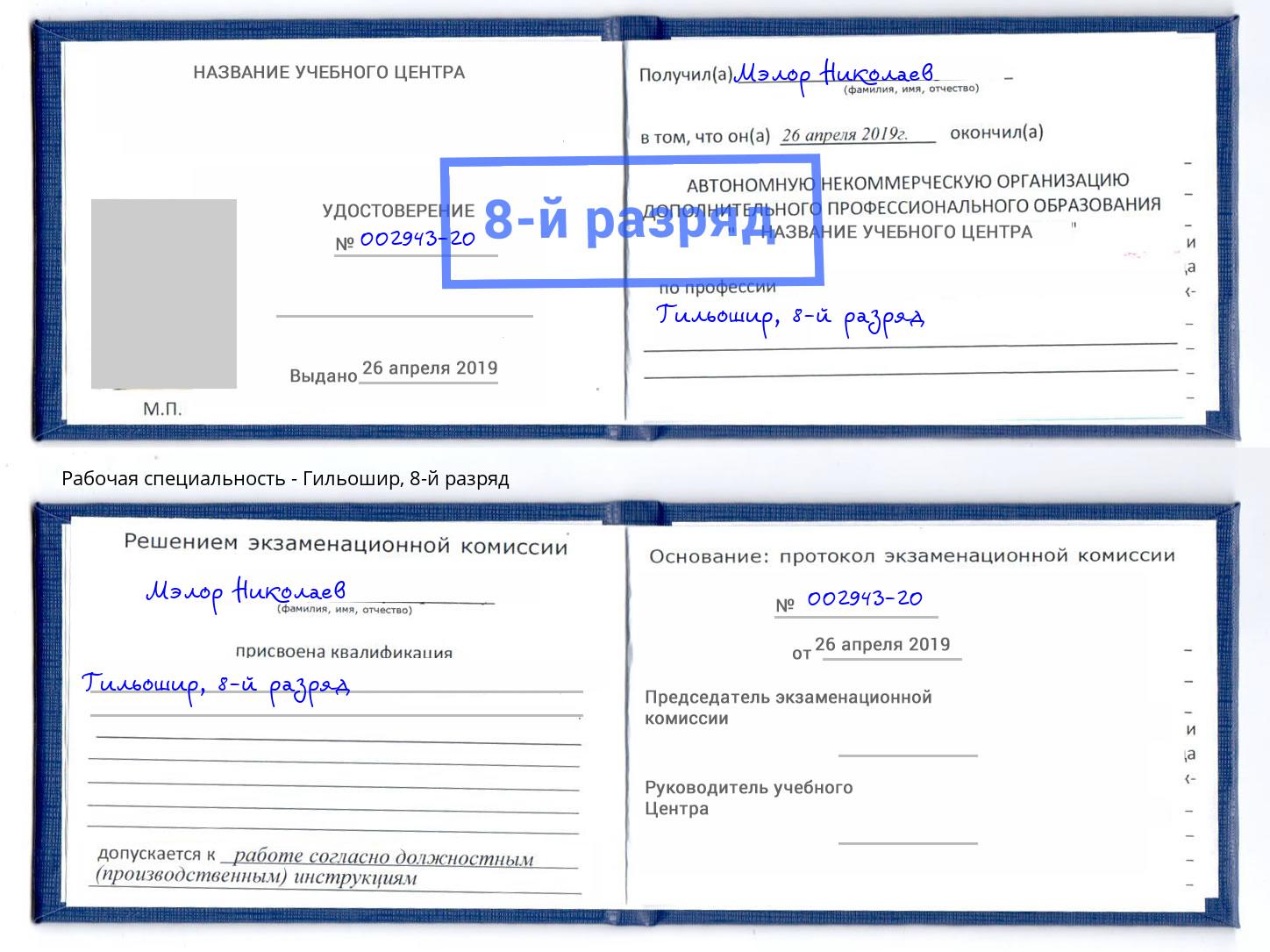 корочка 8-й разряд Гильошир Дагестанские Огни