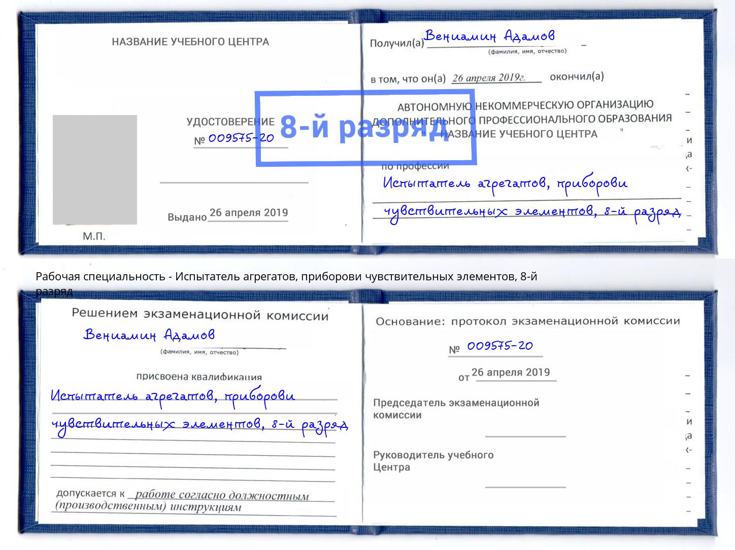 корочка 8-й разряд Испытатель агрегатов, приборови чувствительных элементов Дагестанские Огни